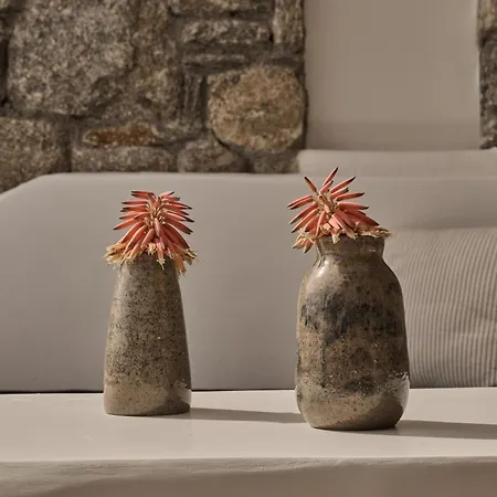 Hotel Balius Mykonos 5*